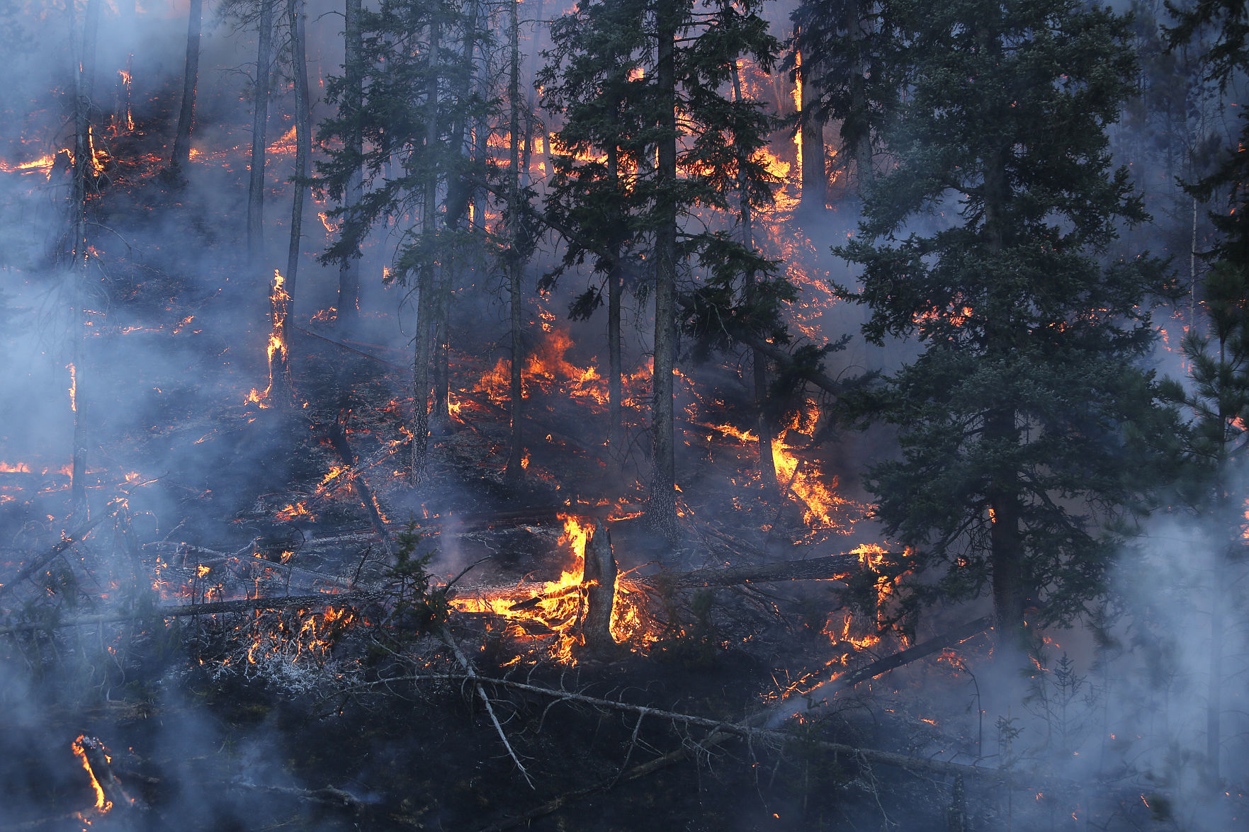 Legion Lake Fire, day one
